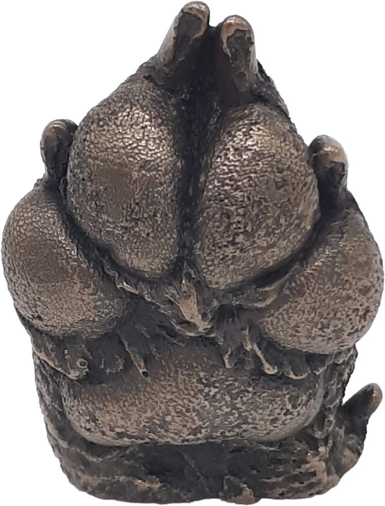 Bronze cold cast of a dog paw showing close up detail