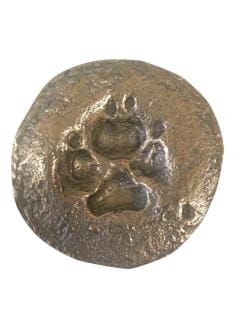Circular bronze resin plaque of a dog paw imprint