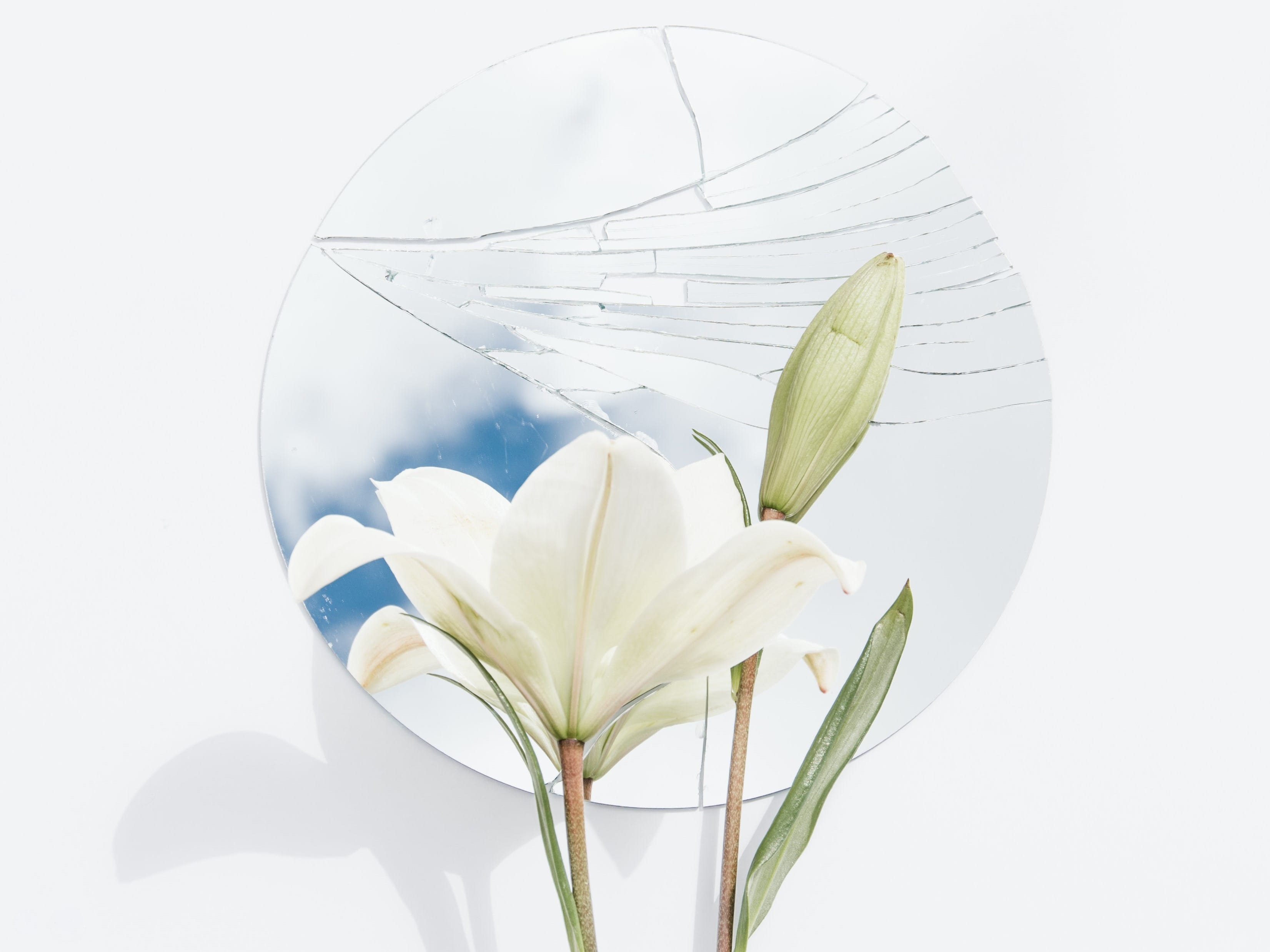 Delicate image of a lily in front of a round cracked mirror with a gentle reflection of clouds